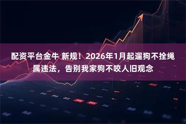 配资平台金牛 新规！2026年1月起遛狗不拴绳属违法，告别我家狗不咬人旧观念